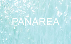 Carte postale de Panarea