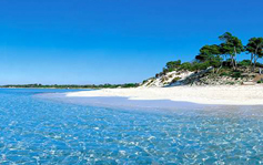 Une carte postale de Majorque