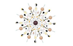 Ecocentric