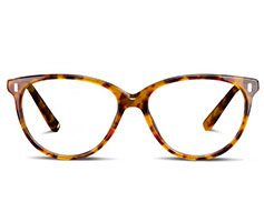 Lunettes Holly sur Jimmy Fairly