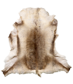 Tapis de peau de renne trouvé sur Bodie and Fou